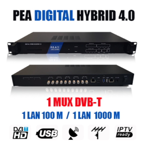 Digital Hybrid Head End 4.0 / 5 DVB-IP-1MUX